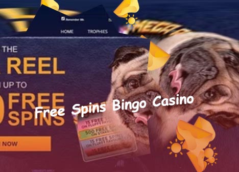 Win upto 500 free spins